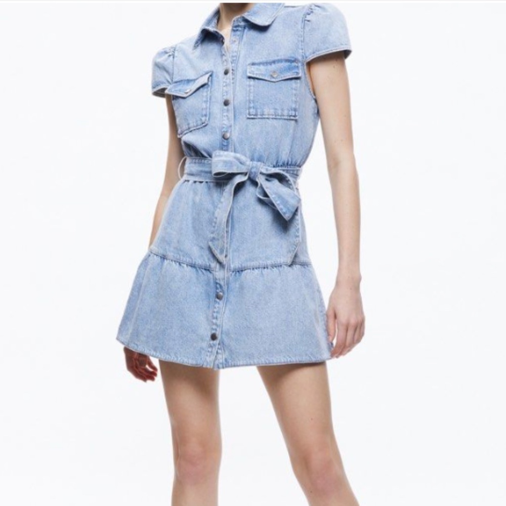 Alice and Olivia Denim Snap Front Dress